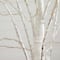 5ft. Pre-Lit White Birch Artificial Christmas Tree, Warm White LED Lights